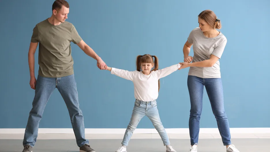 Child Custody Battles